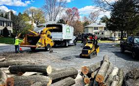 Best Firewood Processing and Delivery  in Marquette Heights, IL