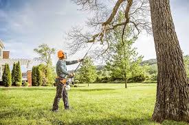 Best Tree Preservation Services  in Marquette Heights, IL